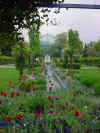 auteuil-005.JPG (81048 octets)