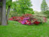 auteuil-052.JPG (95300 octets)