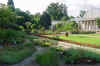 jardin_botanique_bonn.JPG (74228 octets)