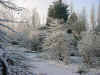 hiver_2001.JPG (130393 octets)